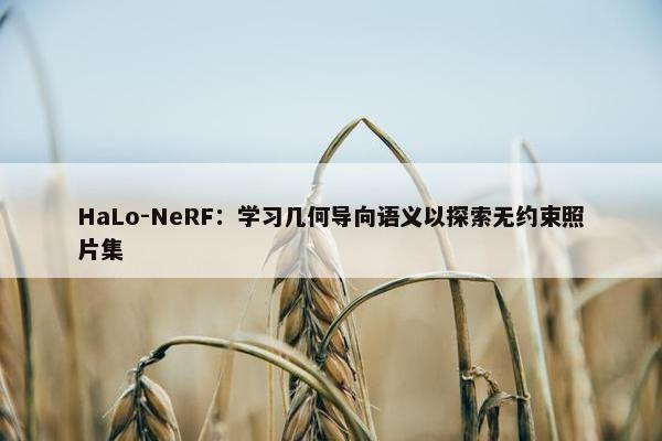 HaLo-NeRF：学习几何导向语义以探索无约束照片集