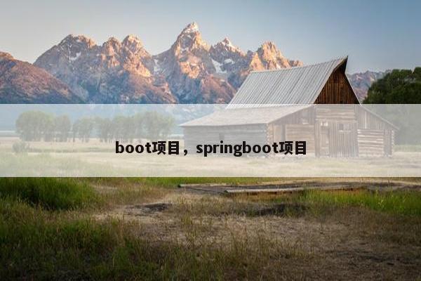 boot项目，springboot项目