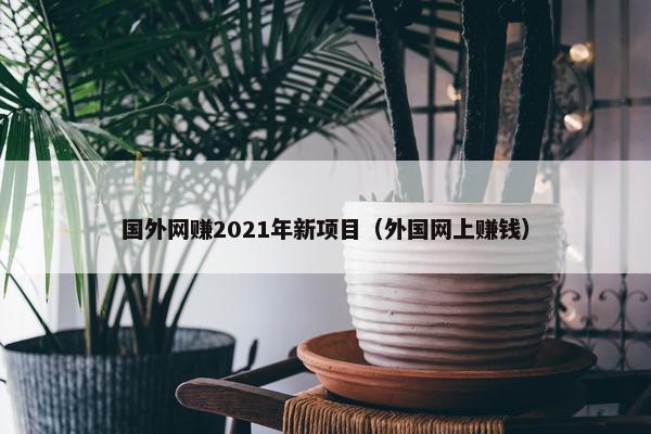 国外网赚2021年新项目（外国网上赚钱）