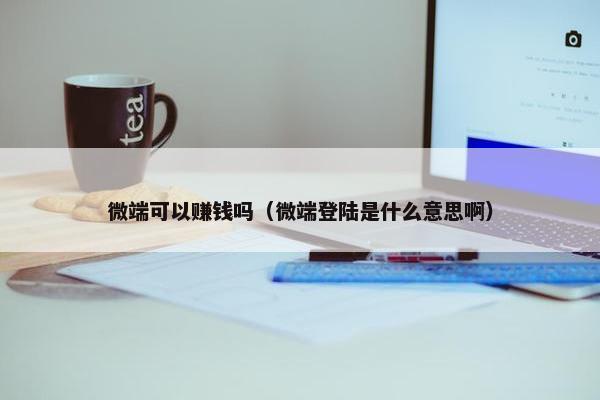 微端可以赚钱吗（微端登陆是什么意思啊）