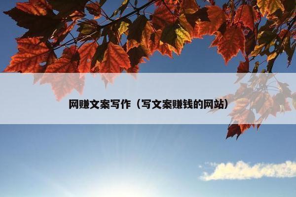 网赚文案写作（写文案赚钱的网站）