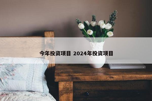 今年投资项目 2024年投资项目