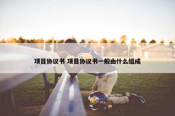 项目协议书 项目协议书一般由什么组成