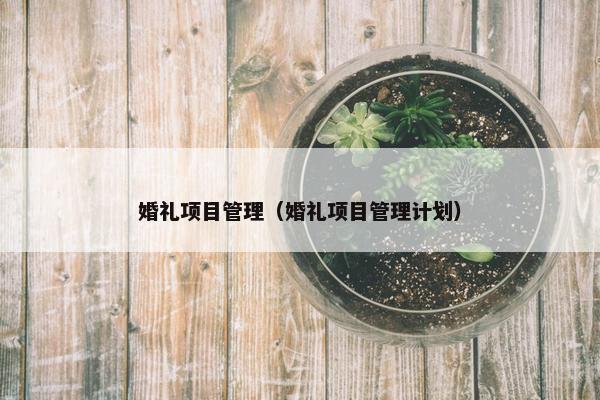 婚礼项目管理（婚礼项目管理计划）