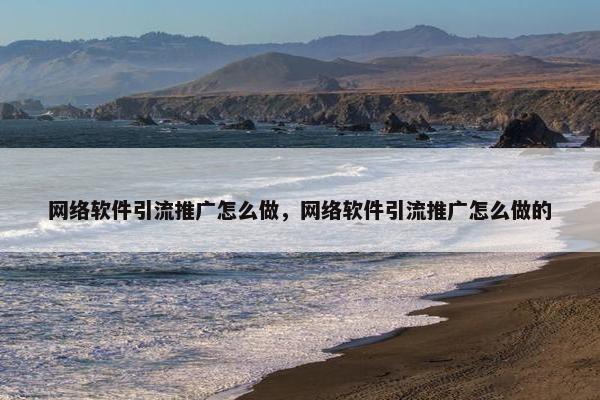 网络软件引流推广怎么做，网络软件引流推广怎么做的