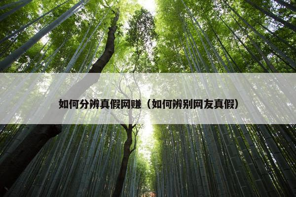 如何分辨真假网赚（如何辨别网友真假）