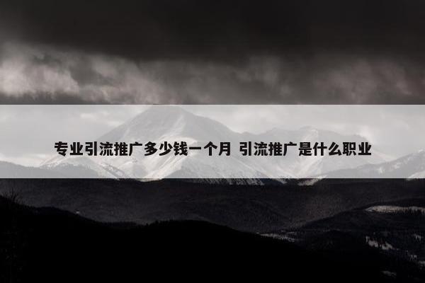 专业引流推广多少钱一个月 引流推广是什么职业