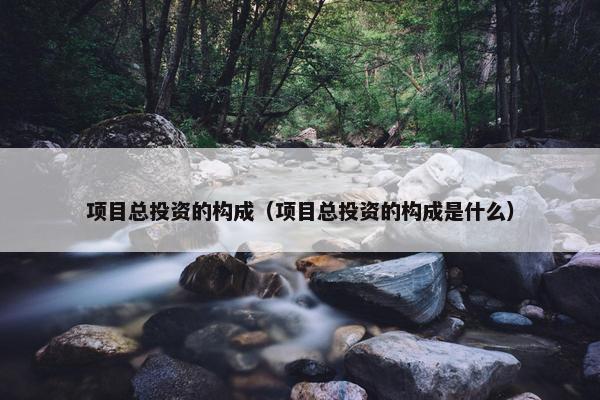 项目总投资的构成（项目总投资的构成是什么）