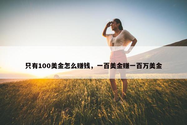 只有100美金怎么赚钱，一百美金赚一百万美金