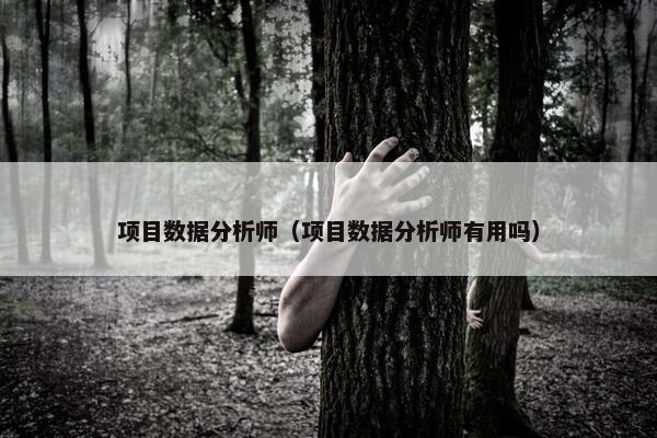 项目数据分析师（项目数据分析师有用吗）