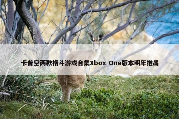 卡普空两款格斗游戏合集Xbox One版本明年推出