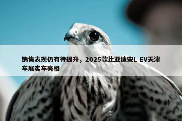 销售表现仍有待提升，2025款比亚迪宋L EV天津车展实车亮相