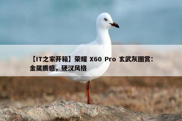 【IT之家开箱】荣耀 X60 Pro 玄武灰图赏：金属质感，硬汉风格